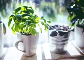 СТАРИ ОБИЧАЈ КАО ЗАШТИТНИ СИМБОЛ: ПРЕДМЕТ НА ПРОЗОРУ КОЈИ ОТЕРА ЛОШЕ ВИБРАЦИЈЕ