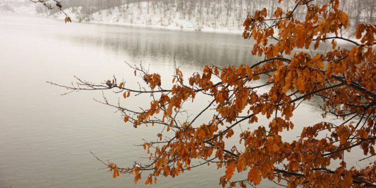 Порастао ниво воде у Борском језеру