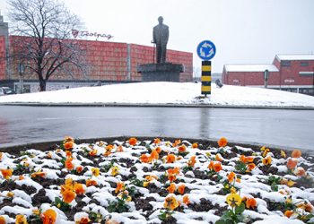 ЈУТРО У БОРУ