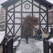У Мајданпеку се традиционално обележава Бадњи дан
