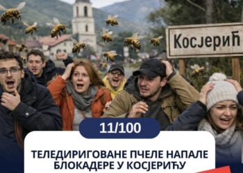 ОД ИЗБОРА ДО ХИТА НА ИНТЕРНЕТУ: КО ЈЕ ИЗМИСЛИО НАПАД ПЧЕЛА?