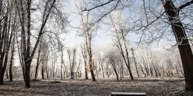 У Србији данас смена сунца и облака, поподне наоблачење, температура до 11 степени