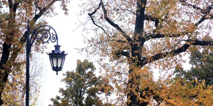 У Србији данас ветровито и топлије, највиша дневна до 13 степени