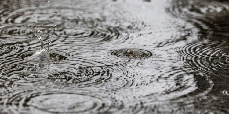 У Србији данас облачно, ветровито и хладније с кишом и снегом, до 6 степени