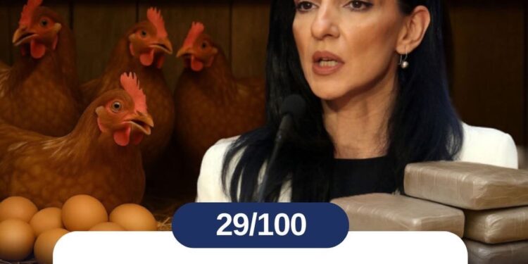 МАРИНИКИНЕ НАРКОКОКОШКЕ ИЗ МОРОВИЋА!