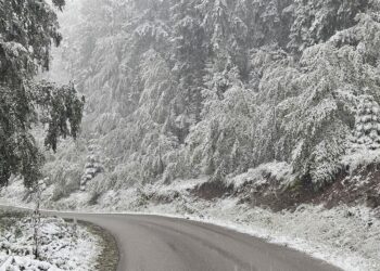 Снег отежава саобраћај у појединим крајевима Србије