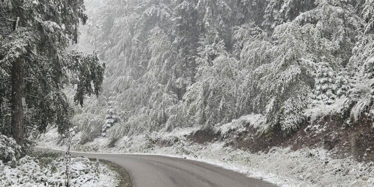 Снег отежава саобраћај у појединим крајевима Србије