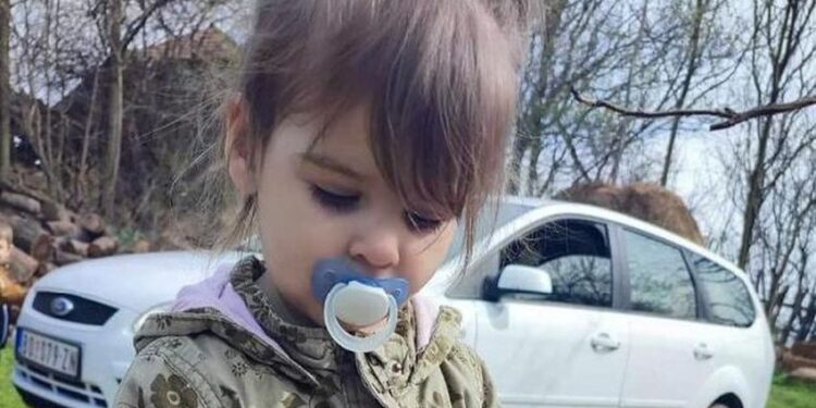 ПОДИГНУТА НОВА ОПТУЖНИЦА ЗА УБИСТВО ДАНКЕ ИЛИЋ