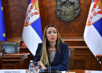 СЈАЈНЕ ВЕСТИ! МЕСАРОВИЋ:Сви који нису имали струју дуже од 24 сата биће ослобођени плаћања за јануар!