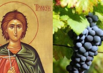Данас је Свети Трифун:  Празник виноградара, чувар природе и заштитник искрене љубави
