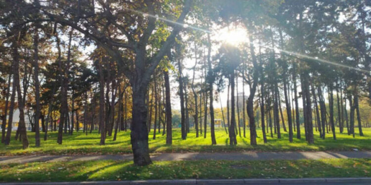 Током дана претежно сунчано