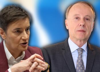 СКАНДАЛ НА СЕДНИЦИ! Брнабић РАЗБИЛА Ђокића: „СРАМОТА! Цео дан ћутите, а онда држите придике!“