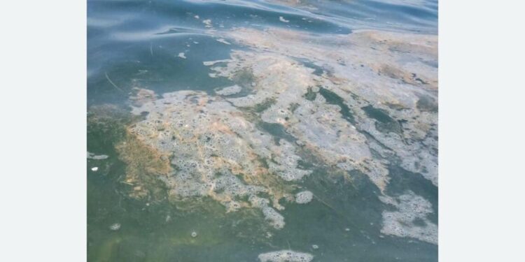 Хрватска идилична разгледница: Јадран као депонија за фекалије