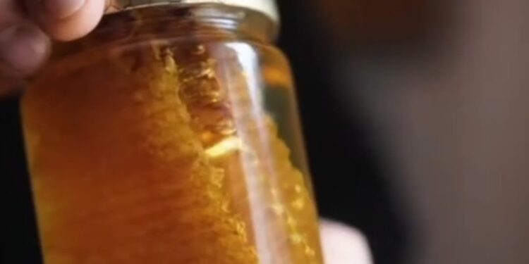 „Као што наша држава чува свој народ, тако се пчеле чувају и доносе просперитет и будућност у кошници“