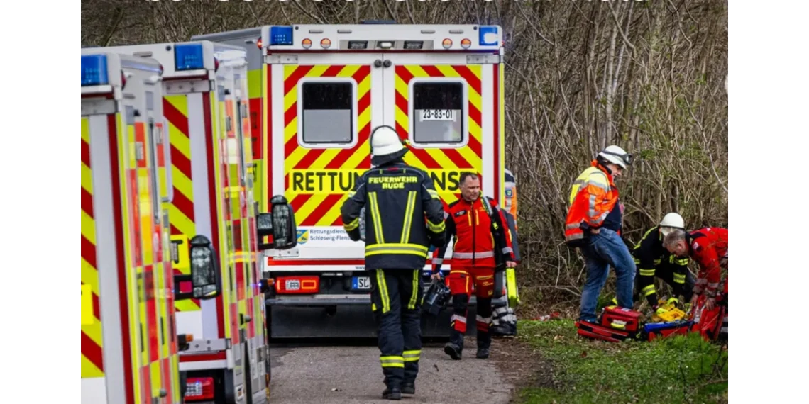 Трагедија у Немачкој: Дрво пало и усмртило мајку, бебу и девојчицу