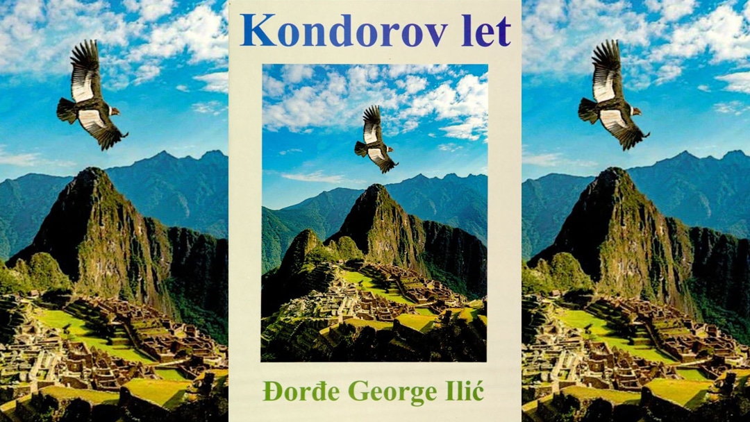 КЊИЖЕВНО ВЕЧЕ У ЗАЈЕЧАРСКОЈ БИБЛИОТЕЦИ: Промоција књиге „Кондоров лет”